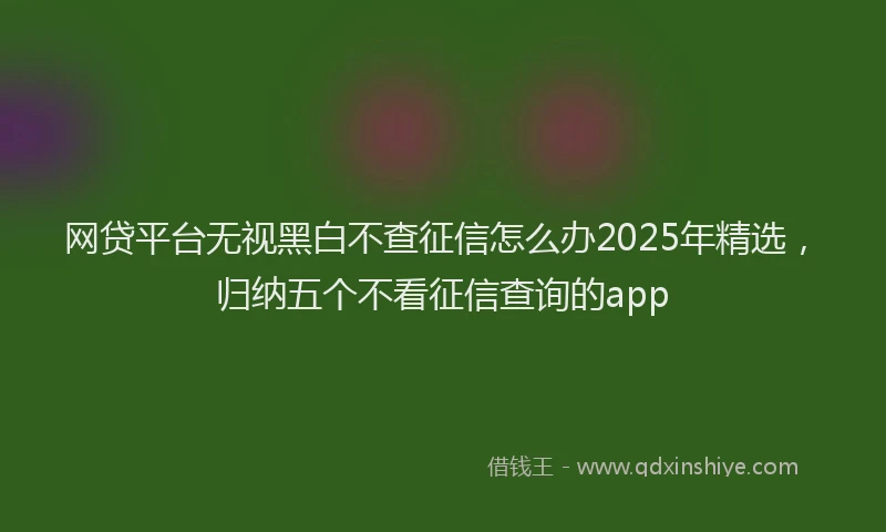 网贷平台无视黑白不查征信怎么办2025年精选，归纳五个不看征信查询的app