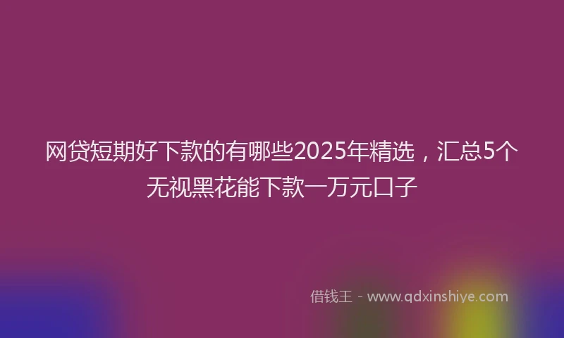 网贷短期好下款的有哪些2025年精选，汇总5个无视黑花能下款一万元口子