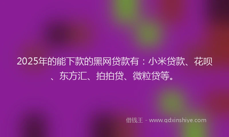 2025年的能下款的黑网贷款有：小米贷款、花呗、东方汇、拍拍贷、微粒贷等。