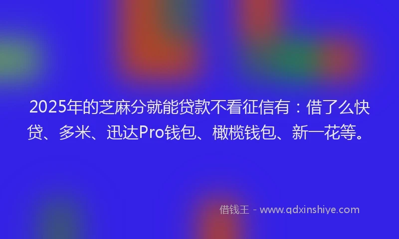 2025年的芝麻分就能贷款不看征信有：借了么快贷、多米、迅达Pro钱包、橄榄钱包、新一花等。