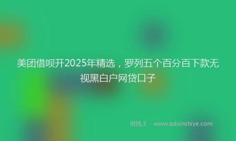 美团借呗开2025年精选，罗列五个百分百下款无视黑白户网贷口子