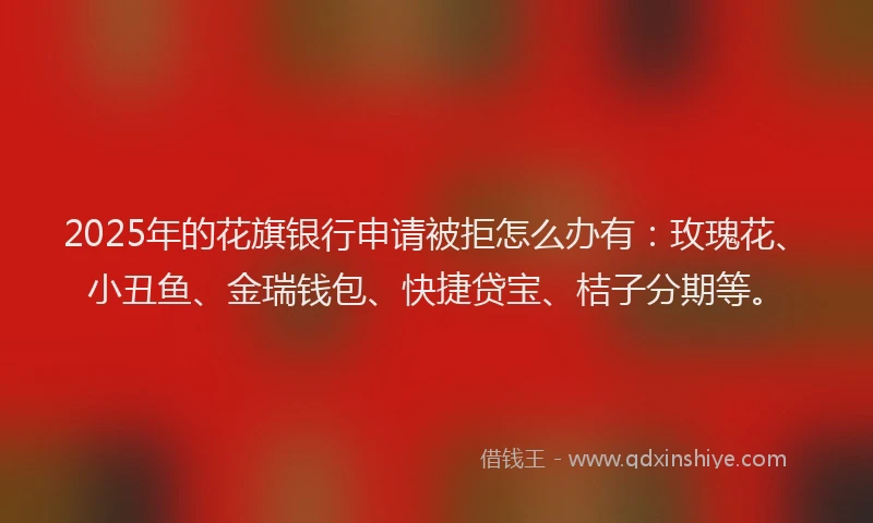 2025年的花旗银行申请被拒怎么办有：玫瑰花、小丑鱼、金瑞钱包、快捷贷宝、桔子分期等。
