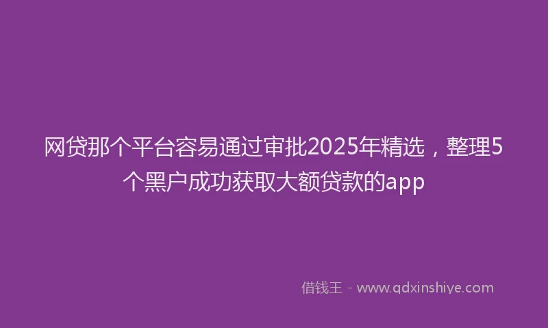 网贷那个平台容易通过审批2025年精选，整理5个黑户成功获取大额贷款的app