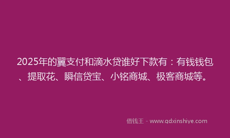 2025年的翼支付和滴水贷谁好下款有：有钱钱包、提取花、瞬信贷宝、小铭商城、极客商城等。