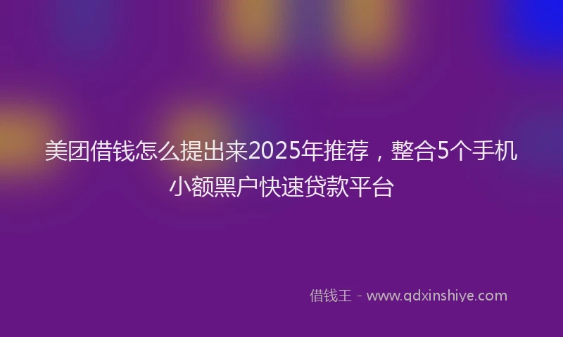 美团借钱怎么提出来2025年推荐，整合5个手机小额黑户快速贷款平台