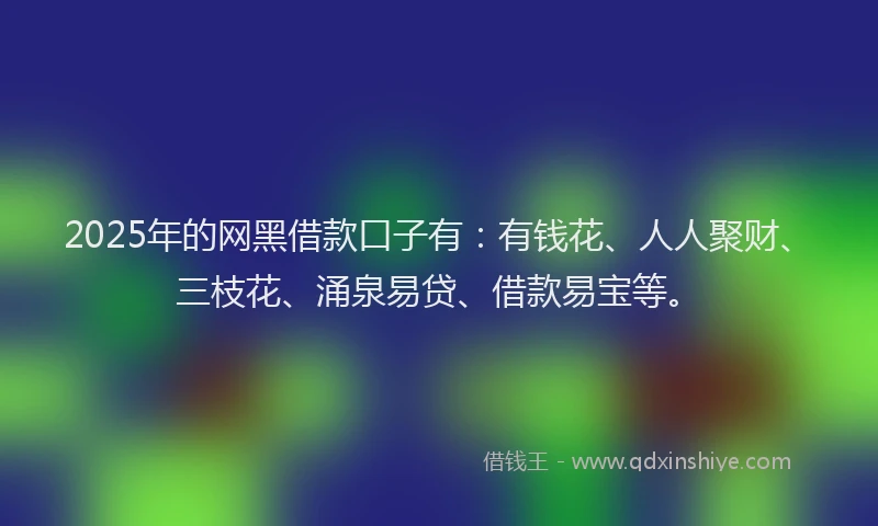2025年的网黑借款口子有：有钱花、人人聚财、三枝花、涌泉易贷、借款易宝等。