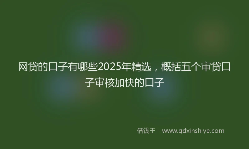网贷的口子有哪些2025年精选，概括五个审贷口子审核加快的口子