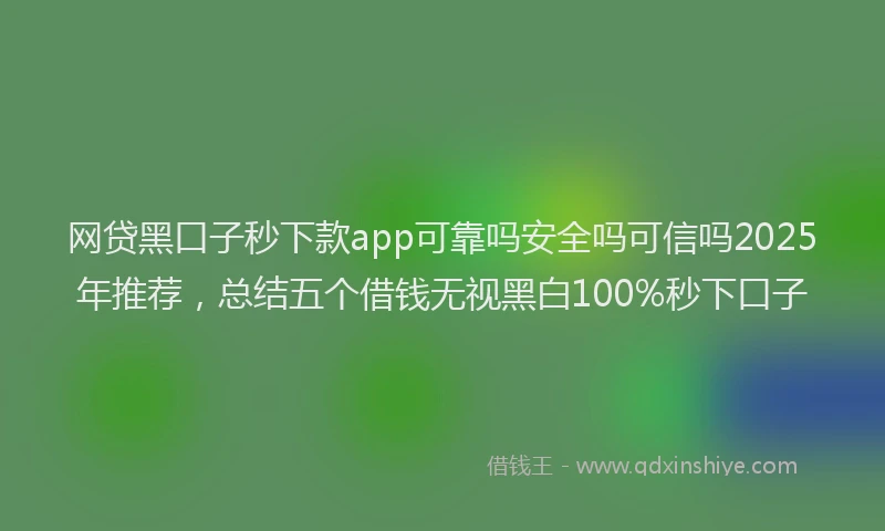 网贷黑口子秒下款app可靠吗安全吗可信吗2025年推荐，总结五个借钱无视黑白100%秒下口子