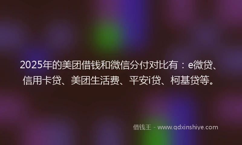 2025年的美团借钱和微信分付对比有：e微贷、信用卡贷、美团生活费、平安i贷、柯基贷等。