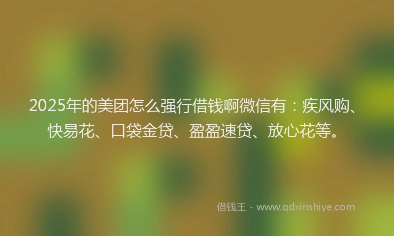 2025年的美团怎么强行借钱啊微信有：疾风购、快易花、口袋金贷、盈盈速贷、放心花等。
