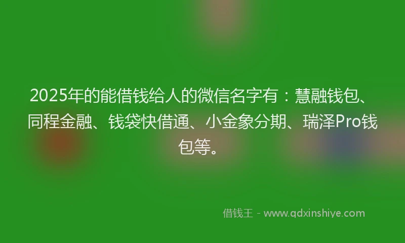2025年的能借钱给人的微信名字有：慧融钱包、同程金融、钱袋快借通、小金象分期、瑞泽Pro钱包等。