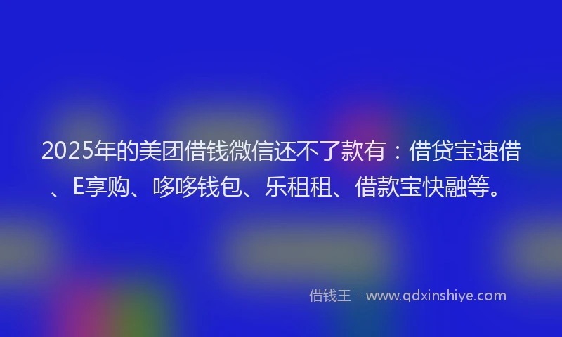 2025年的美团借钱微信还不了款有：借贷宝速借、E享购、哆哆钱包、乐租租、借款宝快融等。
