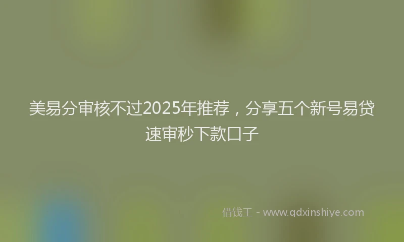 美易分审核不过2025年推荐，分享五个新号易贷速审秒下款口子