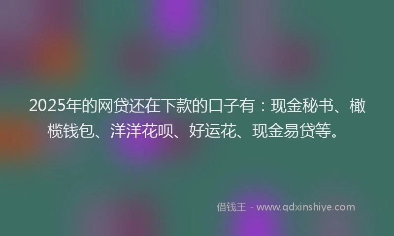 2025年的网贷还在下款的口子有：现金秘书、橄榄钱包、洋洋花呗、好运花、现金易贷等。