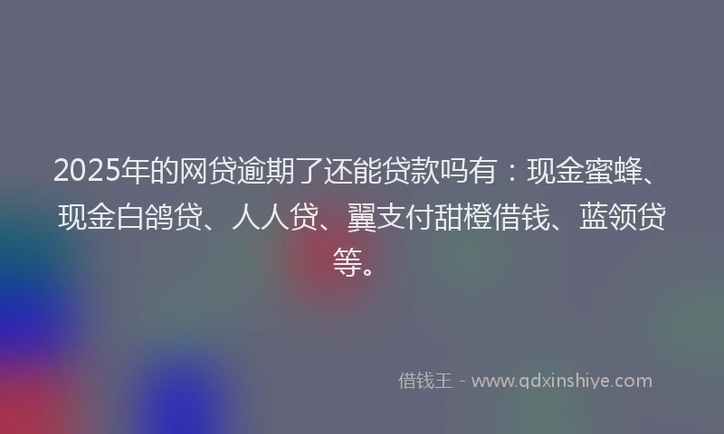 2025年的网贷逾期了还能贷款吗有：现金蜜蜂、现金白鸽贷、人人贷、翼支付甜橙借钱、蓝领贷等。