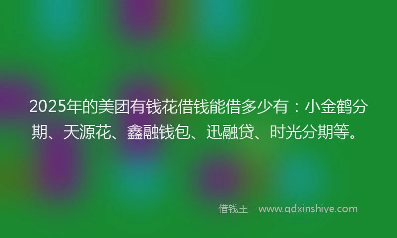 2025年的美团有钱花借钱能借多少有：小金鹤分期、天源花、鑫融钱包、迅融贷、时光分期等。