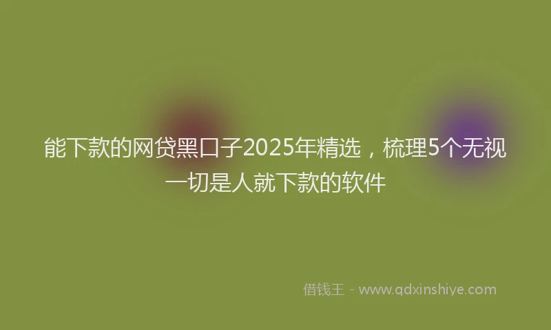 能下款的网贷黑口子2025年精选，梳理5个无视一切是人就下款的软件