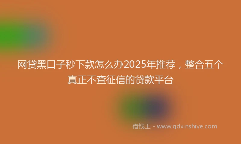 网贷黑口子秒下款怎么办2025年推荐，整合五个真正不查征信的贷款平台