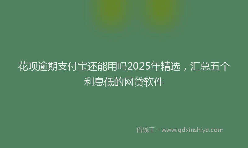 花呗逾期支付宝还能用吗2025年精选，汇总五个利息低的网贷软件