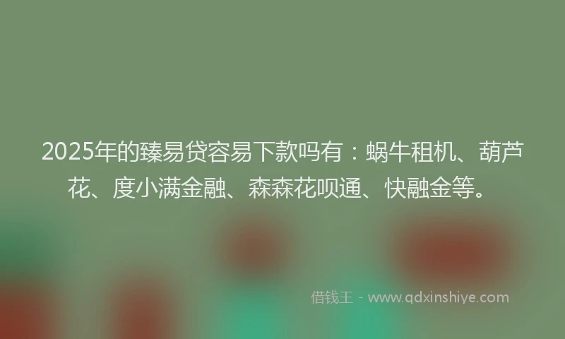 2025年的臻易贷容易下款吗有：蜗牛租机、葫芦花、度小满金融、森森花呗通、快融金等。