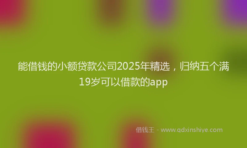 能借钱的小额贷款公司2025年精选，归纳五个满19岁可以借款的app