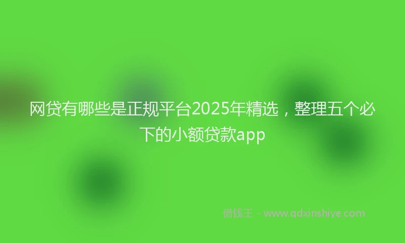 网贷有哪些是正规平台2025年精选，整理五个必下的小额贷款app