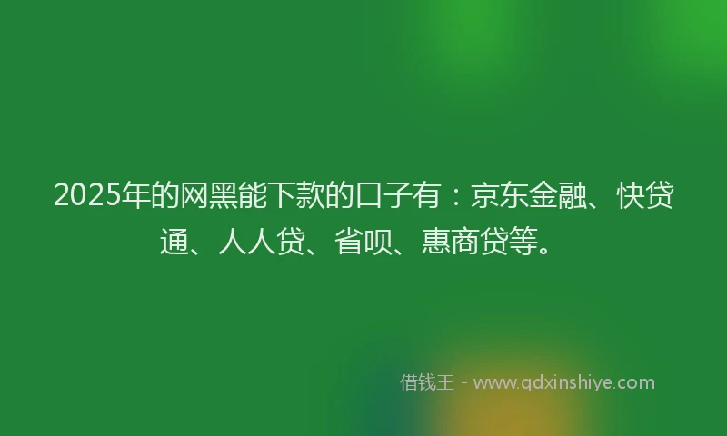 2025年的网黑能下款的口子有：京东金融、快贷通、人人贷、省呗、惠商贷等。