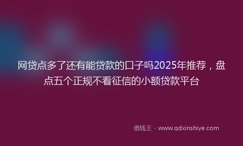 网贷点多了还有能贷款的口子吗2025年推荐，盘点五个正规不看征信的小额贷款平台