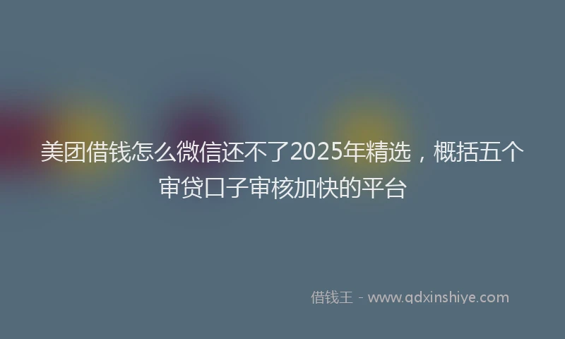 美团借钱怎么微信还不了2025年精选，概括五个审贷口子审核加快的平台