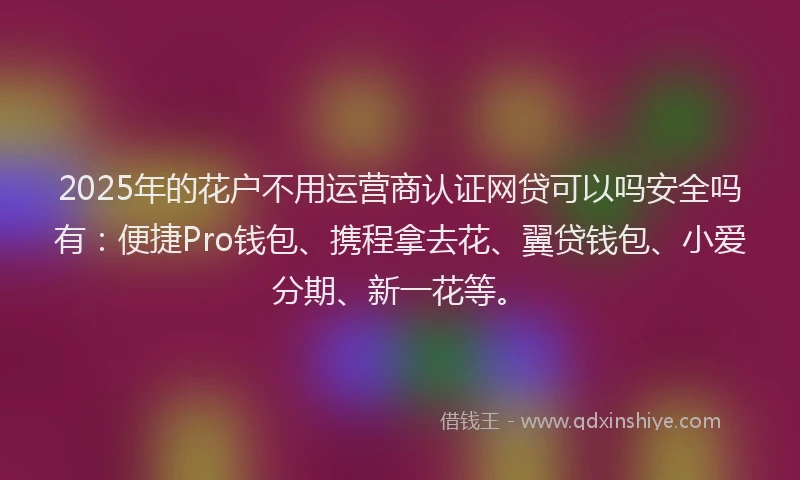 2025年的花户不用运营商认证网贷可以吗安全吗有：便捷Pro钱包、携程拿去花、翼贷钱包、小爱分期、新一花等。
