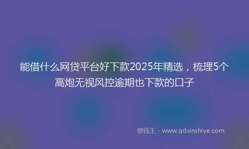 能借什么网贷平台好下款2025年精选，梳理5个高炮无视风控逾期也下款的口子