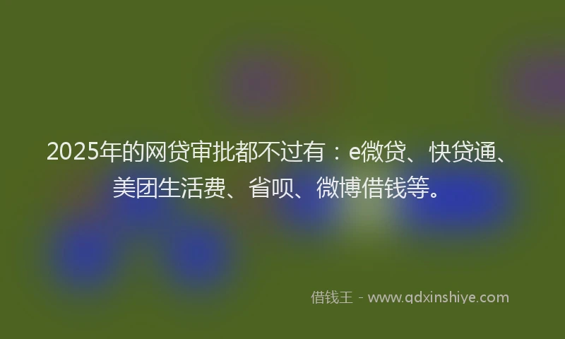 2025年的网贷审批都不过有：e微贷、快贷通、美团生活费、省呗、微博借钱等。