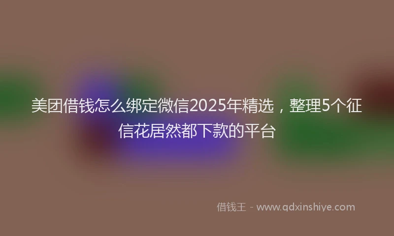 美团借钱怎么绑定微信2025年精选，整理5个征信花居然都下款的平台