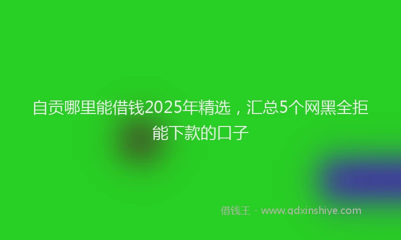 自贡哪里能借钱2025年精选，汇总5个网黑全拒能下款的口子