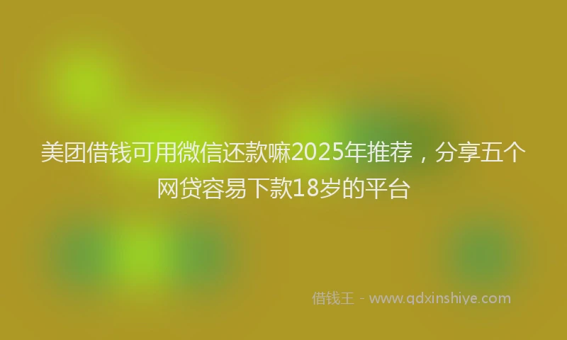 美团借钱可用微信还款嘛2025年推荐，分享五个网贷容易下款18岁的平台