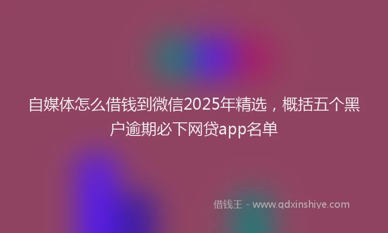 自媒体怎么借钱到微信2025年精选，概括五个黑户逾期必下网贷app名单
