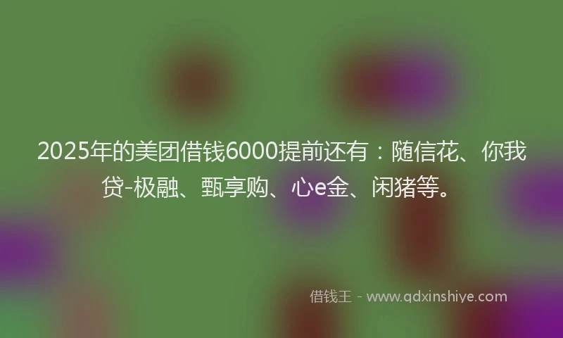 2025年的美团借钱6000提前还有：随信花、你我贷-极融、甄享购、心e金、闲猪等。