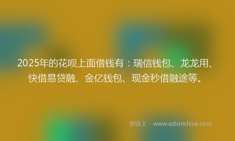 2025年的花呗上面借钱有：瑞信钱包、龙龙用、快借易贷融、金亿钱包、现金秒借融途等。