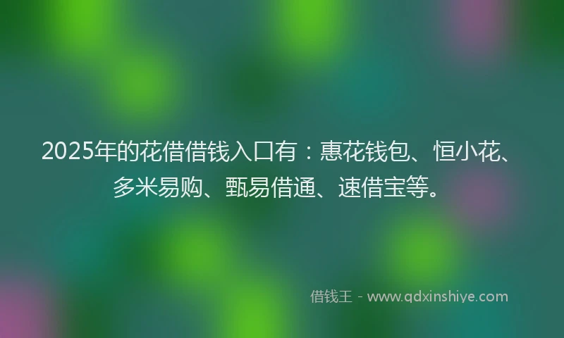 2025年的花借借钱入口有：惠花钱包、恒小花、多米易购、甄易借通、速借宝等。