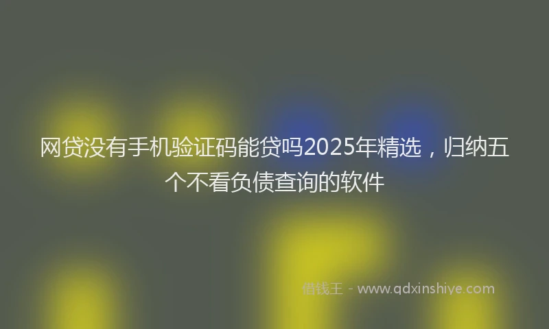 网贷没有手机验证码能贷吗2025年精选，归纳五个不看负债查询的软件