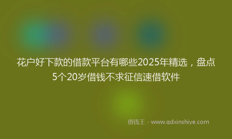 花户好下款的借款平台有哪些2025年精选，盘点5个20岁借钱不求征信速借软件