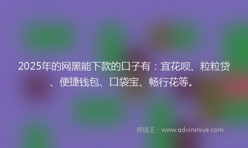 2025年的网黑能下款的口子有：宜花呗、粒粒贷、便捷钱包、口袋宝、畅行花等。