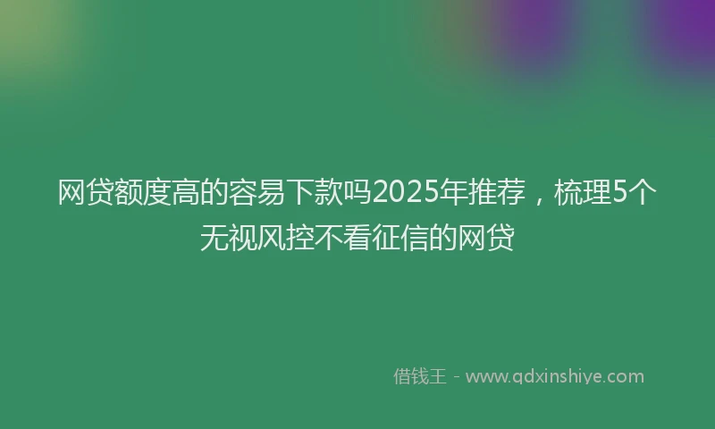 网贷额度高的容易下款吗2025年推荐，梳理5个无视风控不看征信的网贷