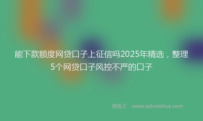 能下款额度网贷口子上征信吗2025年精选，整理5个网贷口子风控不严的口子