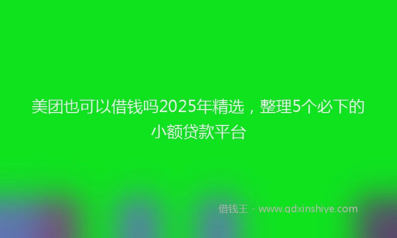 美团也可以借钱吗2025年精选，整理5个必下的小额贷款平台