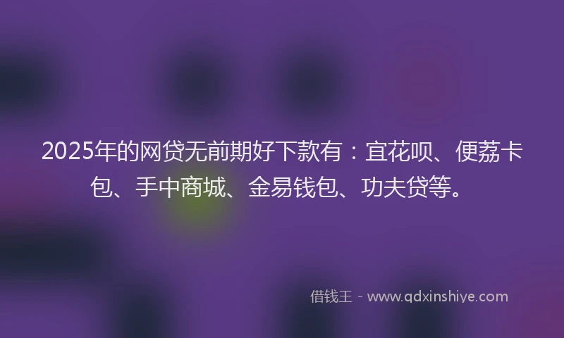 2025年的网贷无前期好下款有：宜花呗、便荔卡包、手中商城、金易钱包、功夫贷等。