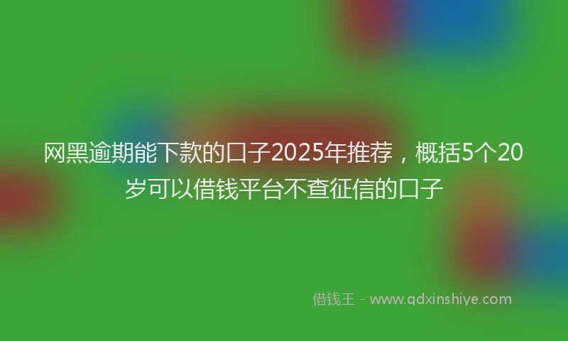 网黑逾期能下款的口子2025年推荐，概括5个20岁可以借钱平台不查征信的口子