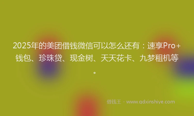 2025年的美团借钱微信可以怎么还有：速享Pro+钱包、珍珠贷、现金树、天天花卡、九梦租机等。