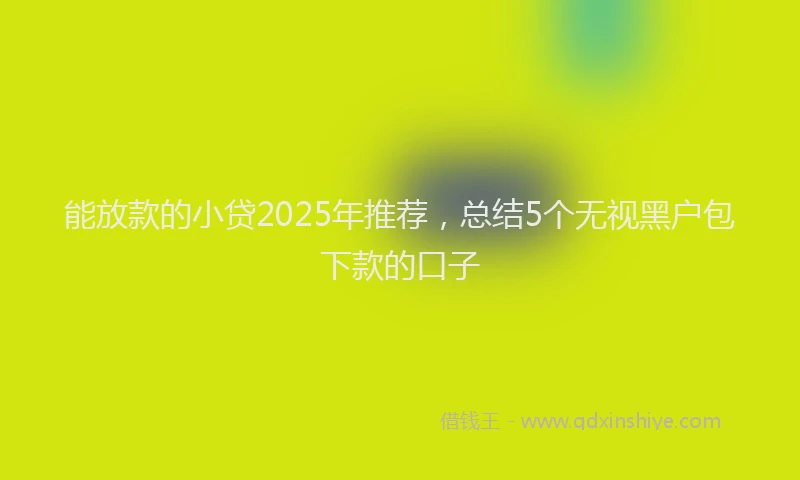 能放款的小贷2025年推荐，总结5个无视黑户包下款的口子