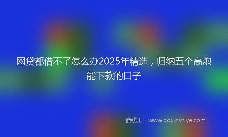 网贷都借不了怎么办2025年精选，归纳五个高炮能下款的口子